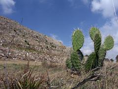 100213_Cacaxtla 151